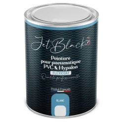 Peinture pneumatique PVC - Flexicoat