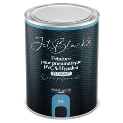 Peinture pneumatique PVC - Flexicoat