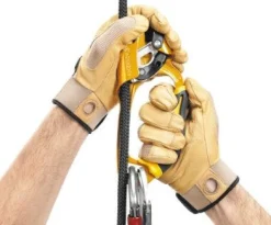 Poignée d 'ASCENSION PETZL