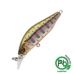 Poissons Nageurs Eau Douce Phoxy Minnow | SAKURA