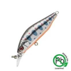 Poissons Nageurs Eau Douce Phoxy Minnow | SAKURA