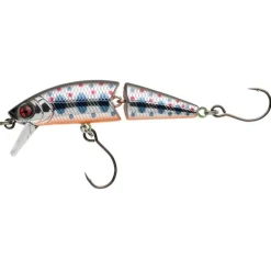 Poissons Nageurs Eau Douce Phoxy Minnow | SAKURA