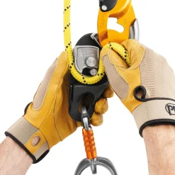 Rig II Noir - PETZL