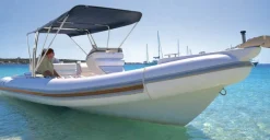 ROLL-BAR INOX AVEC BIMINI PLIANT