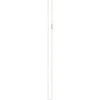 Sangle Pur Anneau 120cm PETZL