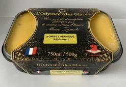 SORBET ARTISANAL MANGUE 750ML ODYSSEES DES GLACES