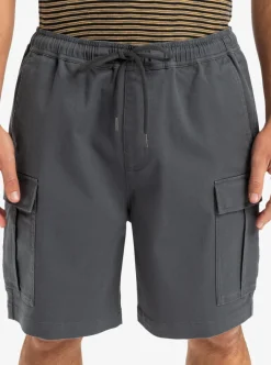 TAXER 19" - SHORT DE MARCHE CARGO POUR HOMME - QUIKSILVER