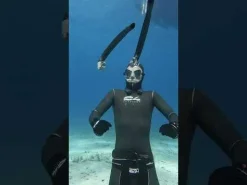 Tuba de plongée sous-marine et d'apnée MELTEMI C4